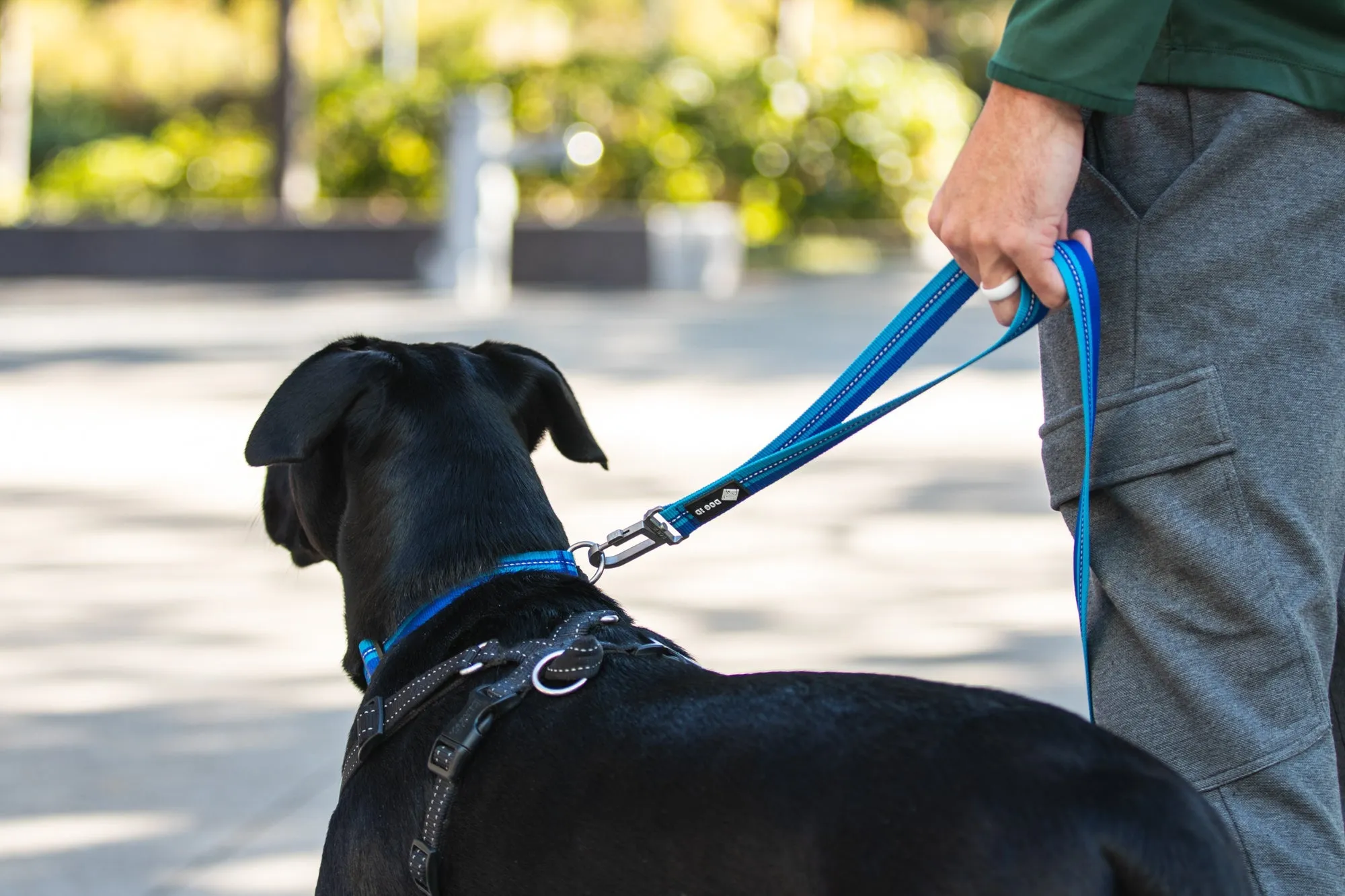 Legendary Leash Accessory