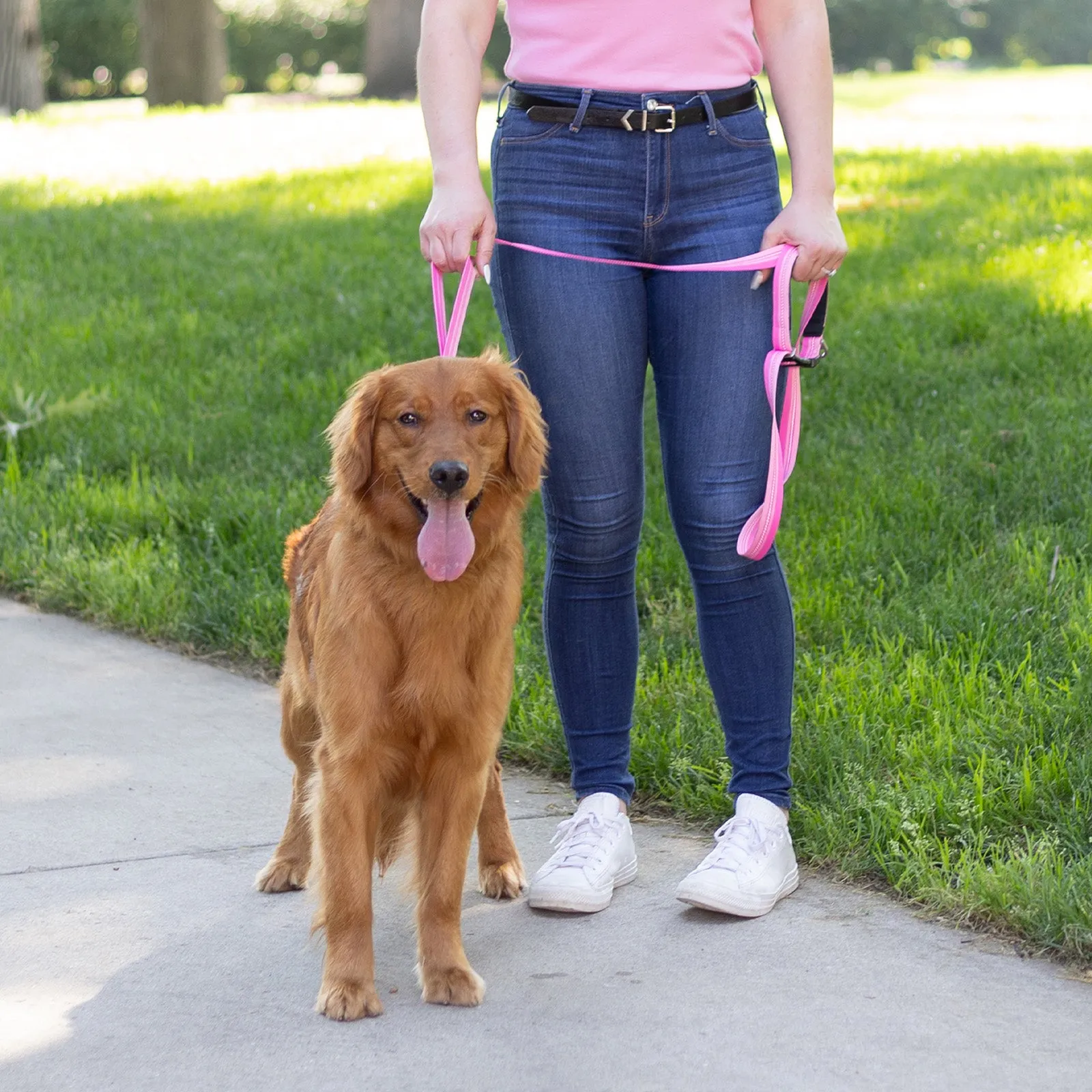 Legendary Leash Accessory