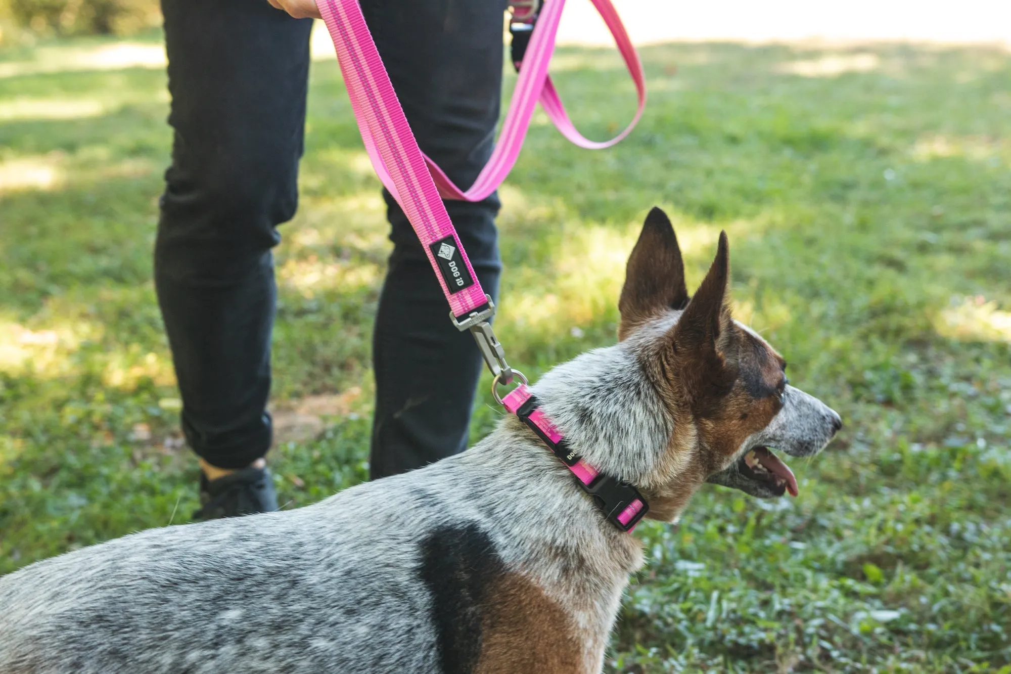 Legendary Leash Accessory