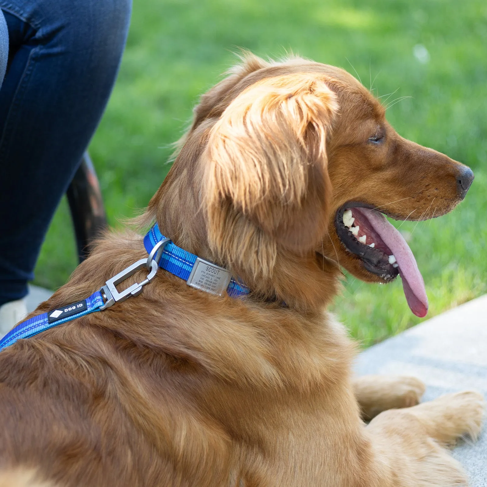 Legendary Leash Accessory