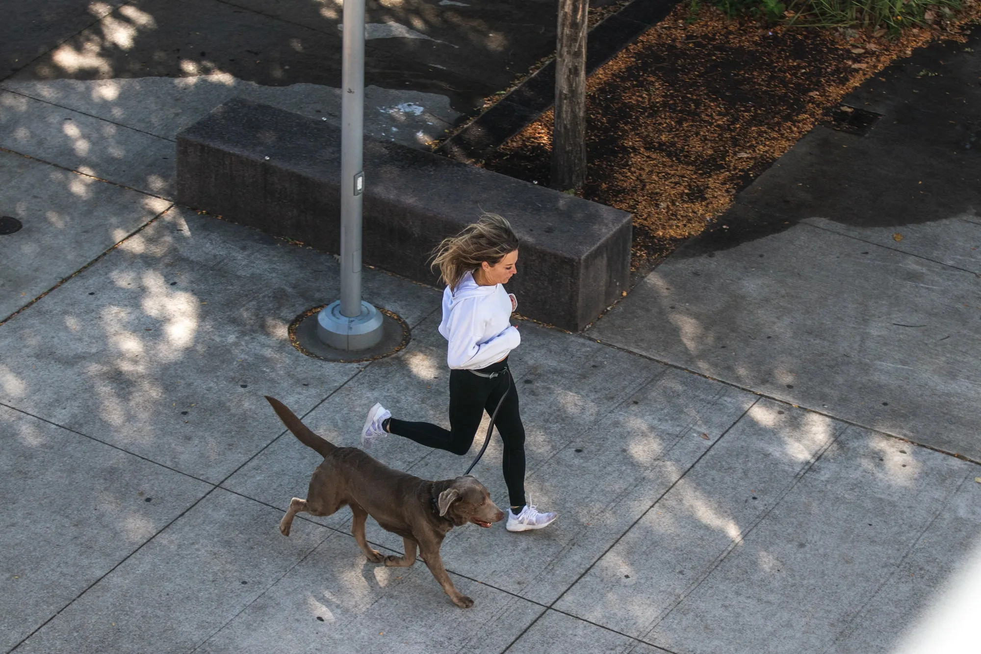 Legendary Leash