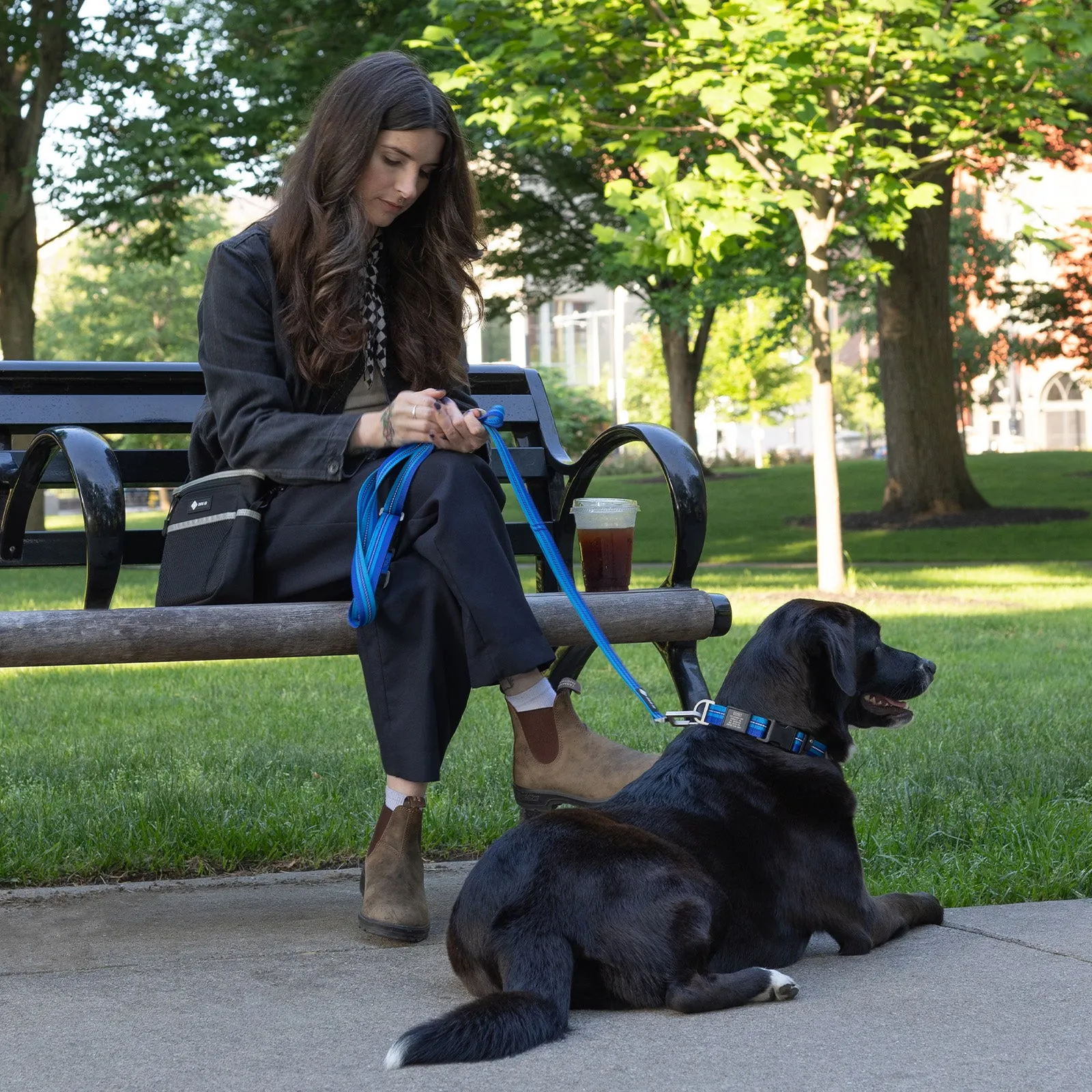 Legendary Leash