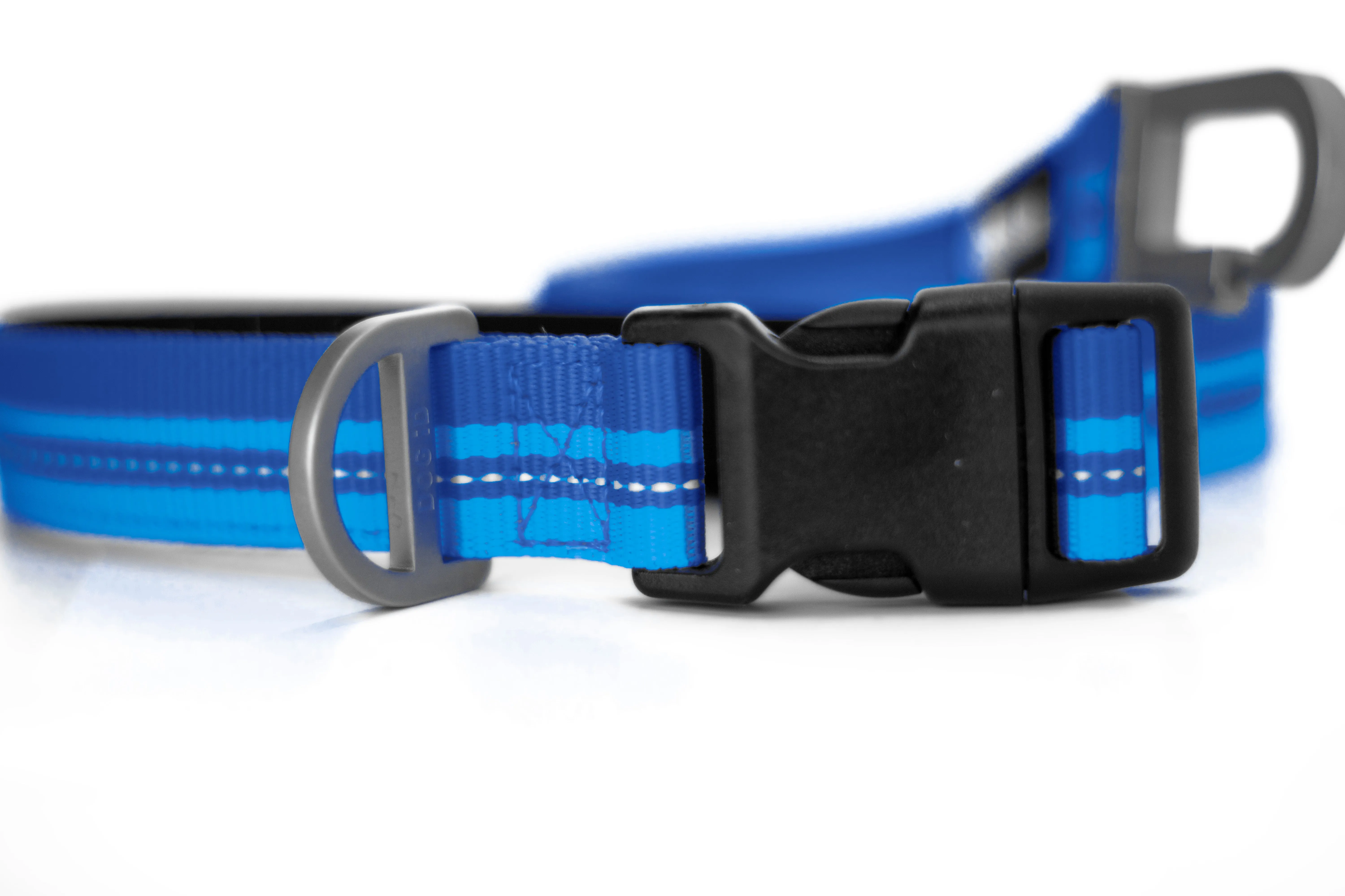 Legendary Leash