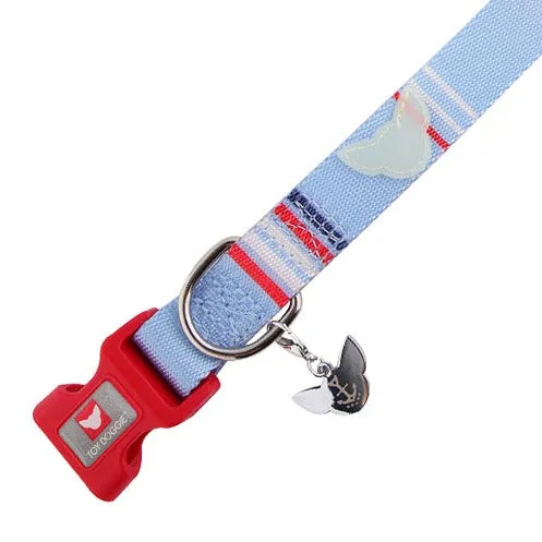 Nautical Glow-in-the-Dark Element Dog Collar | Nauti-Paws