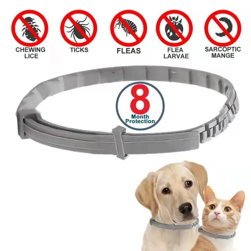 Vet-Recommended Anti-Flea Dog Collar